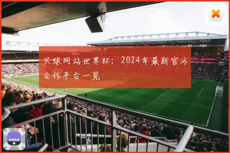 买球网站世界杯：2024年最新官方合作平台一览