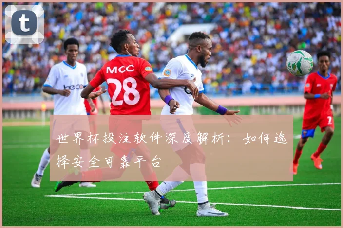 世界杯投注软件深度解析：如何选择安全可靠平台