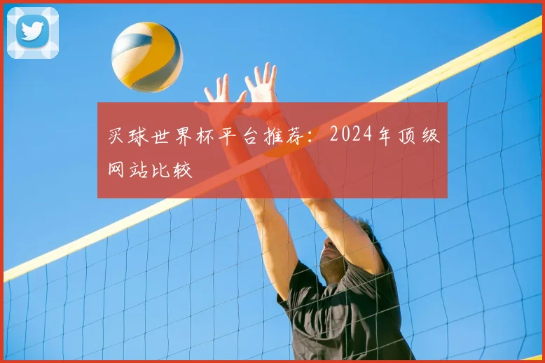 买球世界杯平台推荐：2024年顶级网站比较