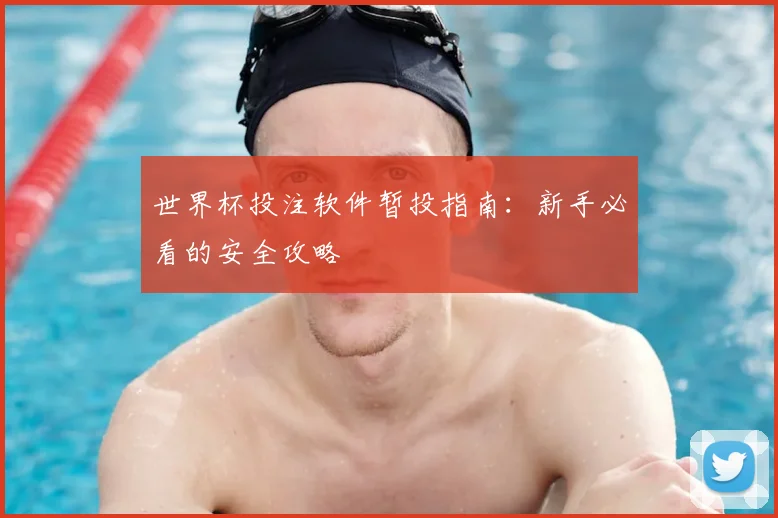 世界杯投注软件暂投指南:新手必看的安全攻略